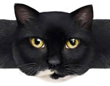 Hug-a-BooBoo "Hugging Paws" Premium Bandages