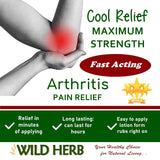 Cool Relief Maximum Pain Relief Cream Joints Muscles Nerves