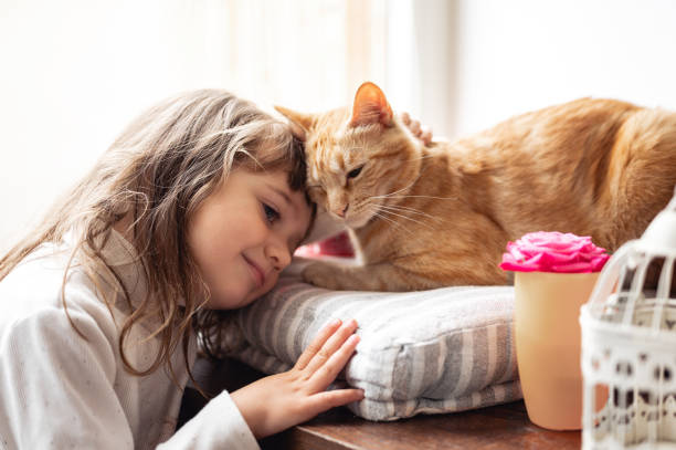 The Healing Purr: How Cats Support Special Needs Individuals