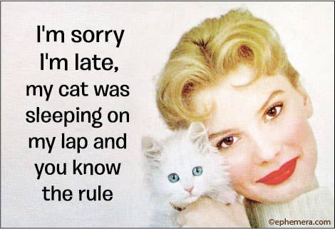 I'm sorry I'm late, my cat was sleeping Magnet
