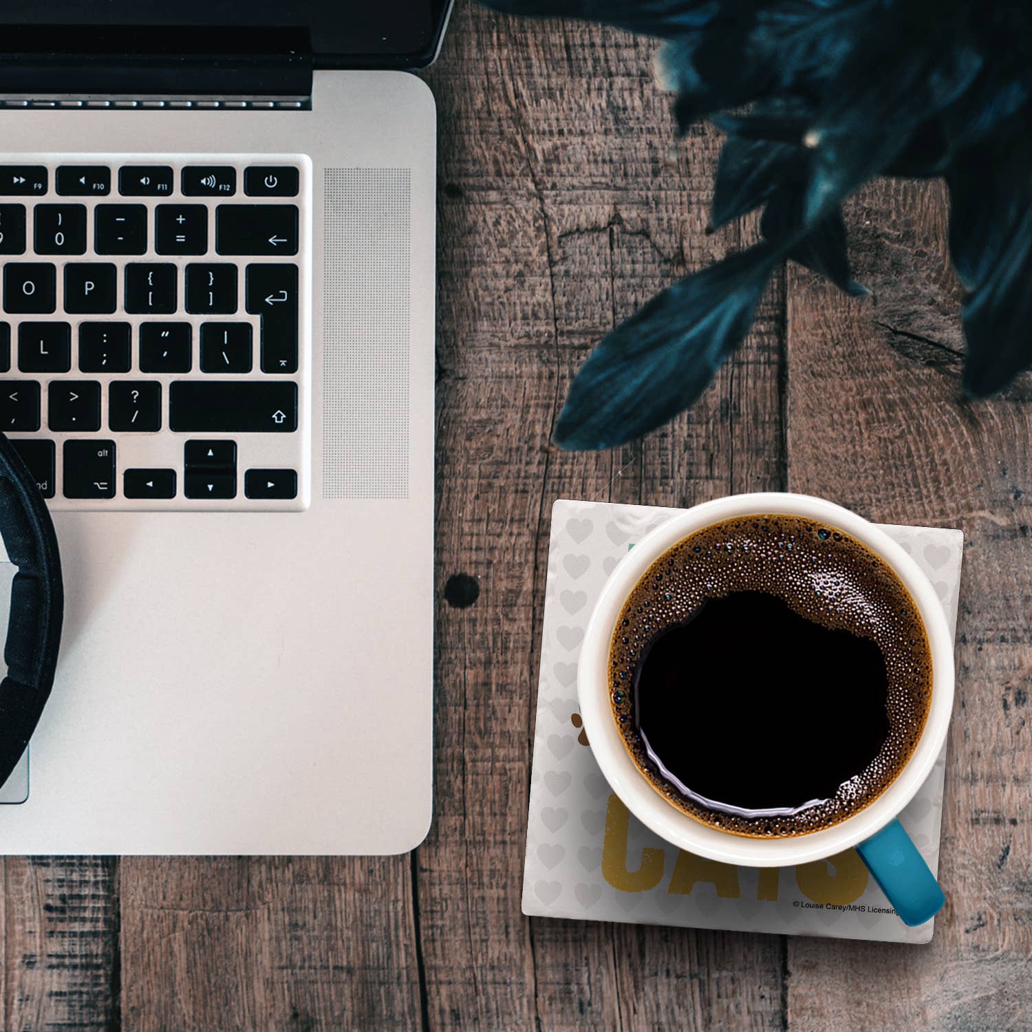 Must Love Cats Absorbent Stone Coaster