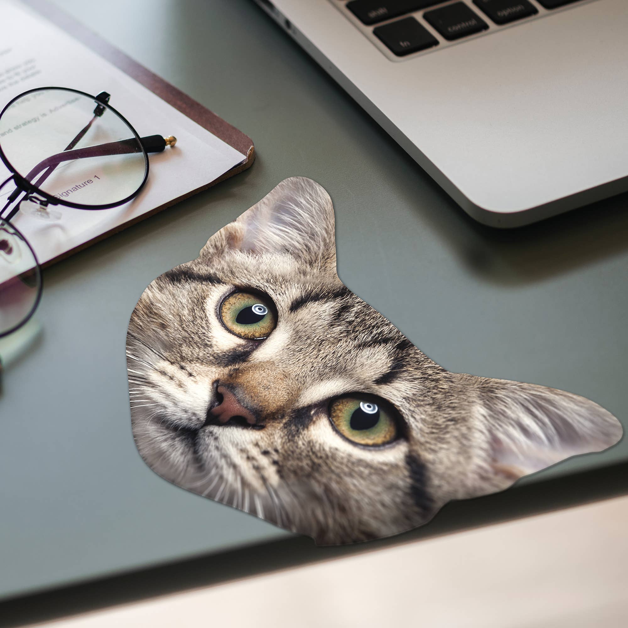 Cat Glasses Cloth | Fun Microfiber Lens Wipe