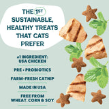 Catnip N Chill Crunchy Cat Treats- Digestive Support
