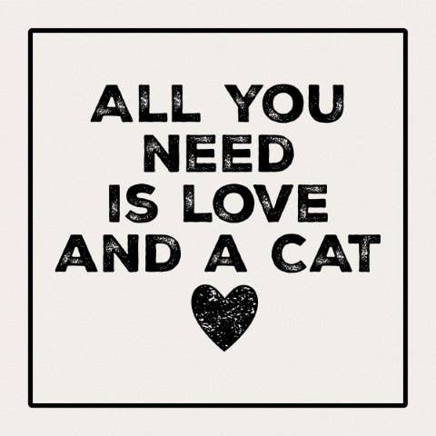 Love and a Cat Square House Coaster