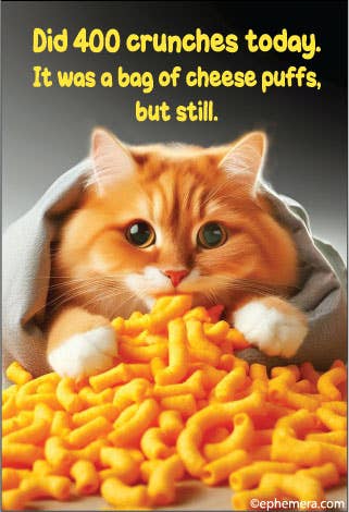 Did 400 crunches today. It was a bag of cheese puffs Magnet