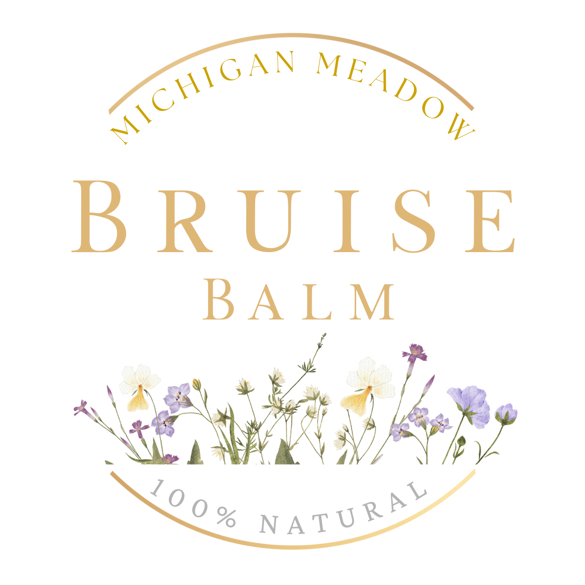 Michigan Meadow Bruise Balm
