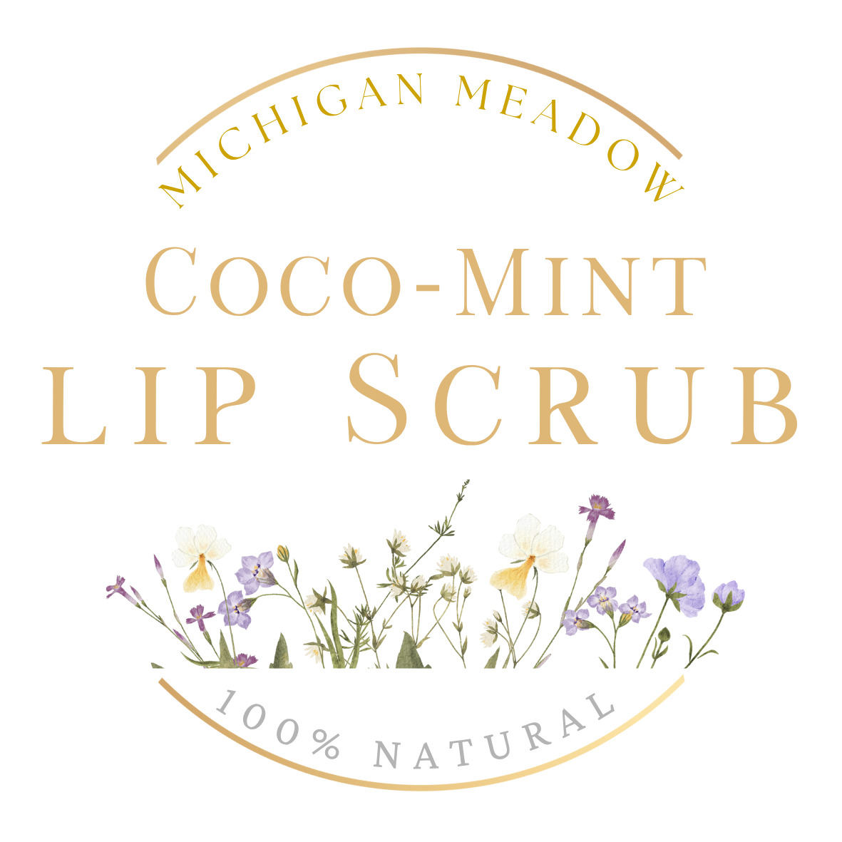 Michigan Meadow Coco Mint Lip Scrub