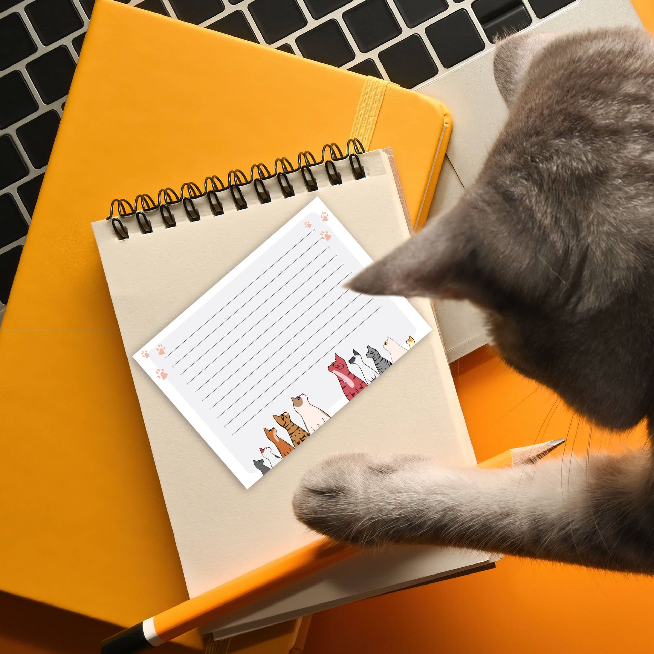 Curious Cats Post-it® Note 3x4