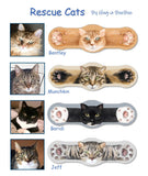 Hug-a-BooBoo "Hugging Paws" Premium CAT Bandages