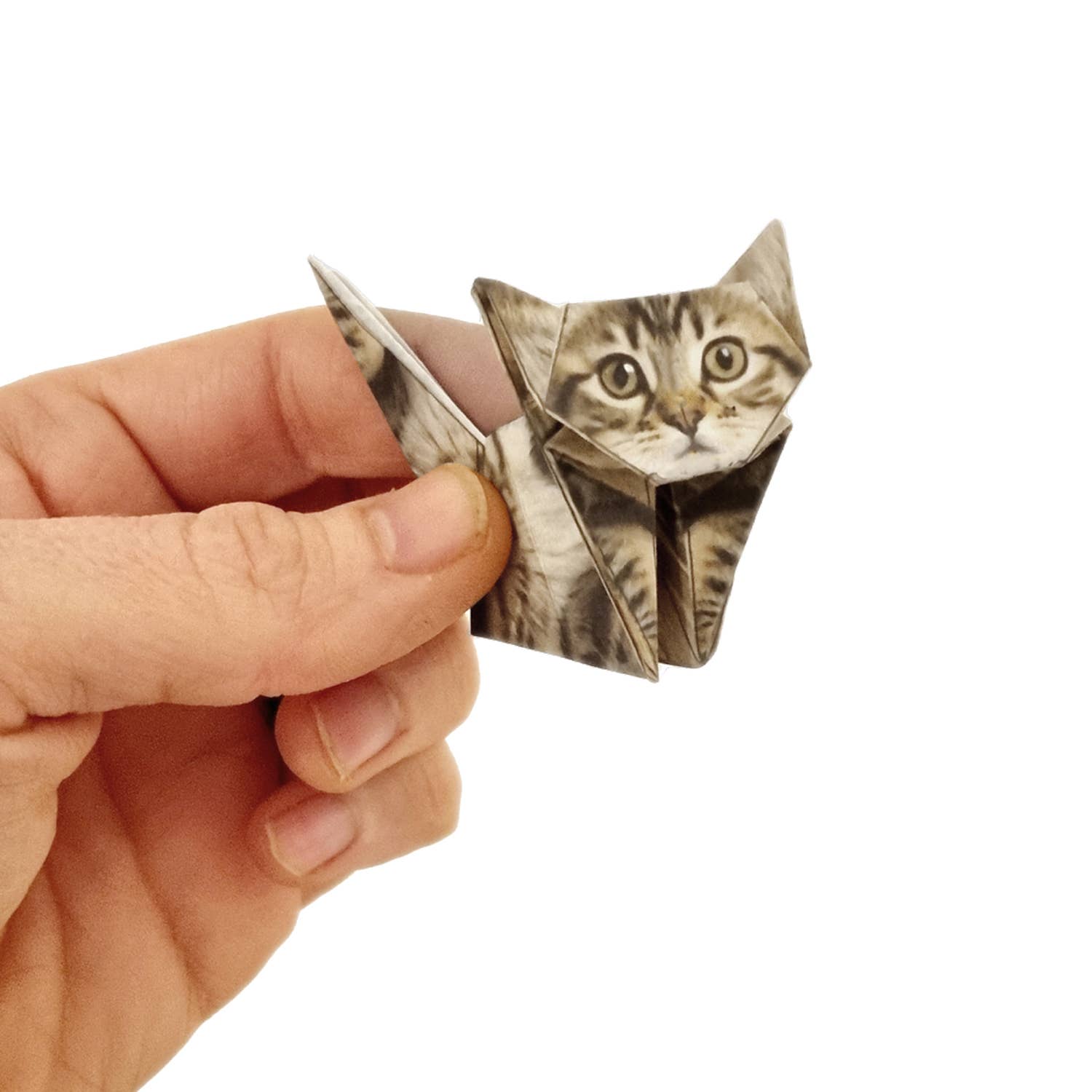 Paper Cats | Cute DIY Origami Kit