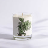 Just Bee Candle 7 oz Summer Mint