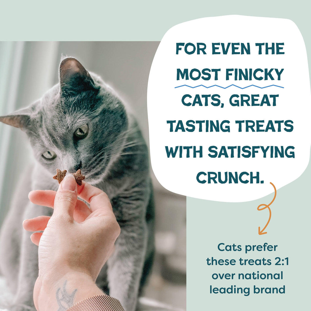 Catnip N Chill Chicken Liver &Catnip