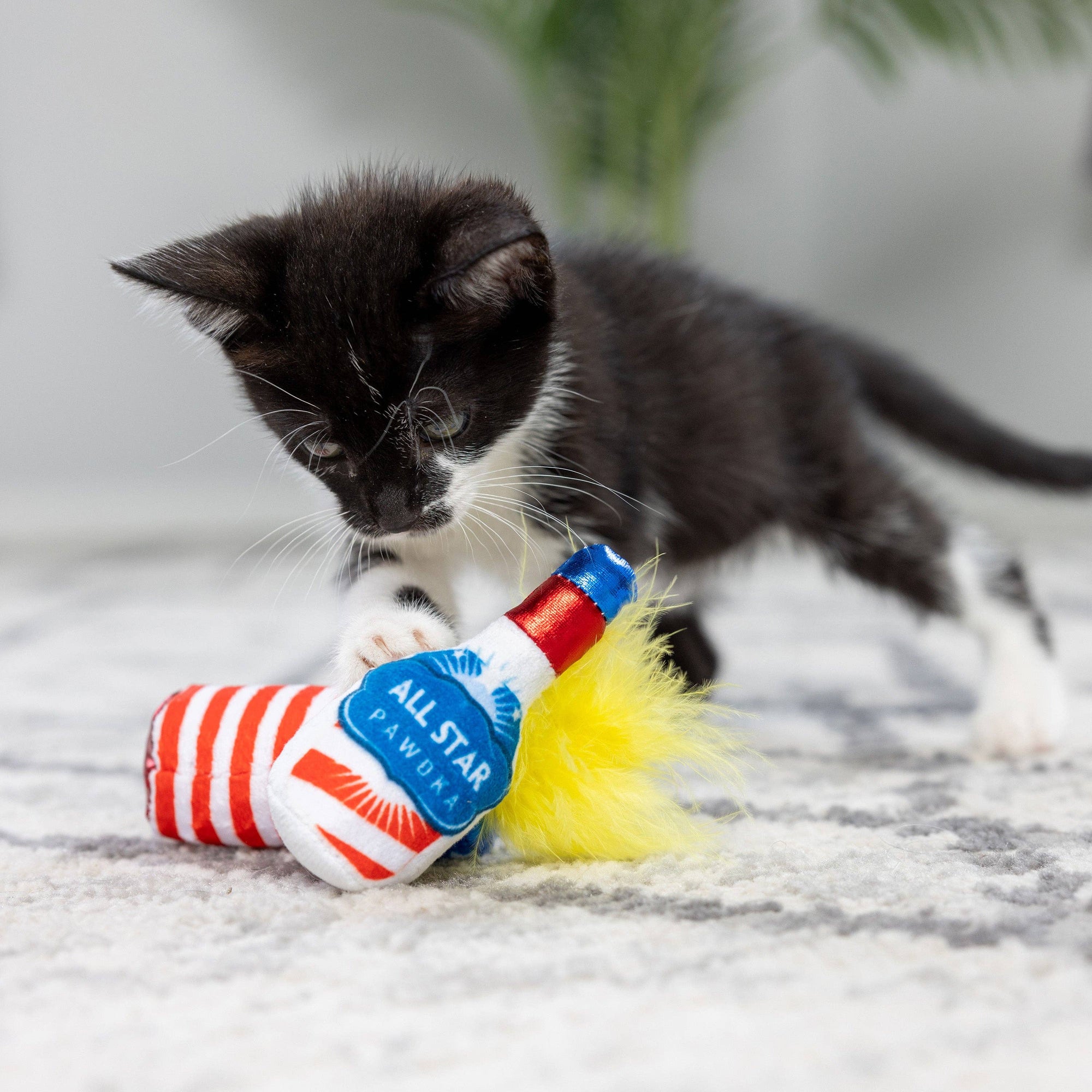 Kittybelles Firecracker & All Star Pawdka 2pk