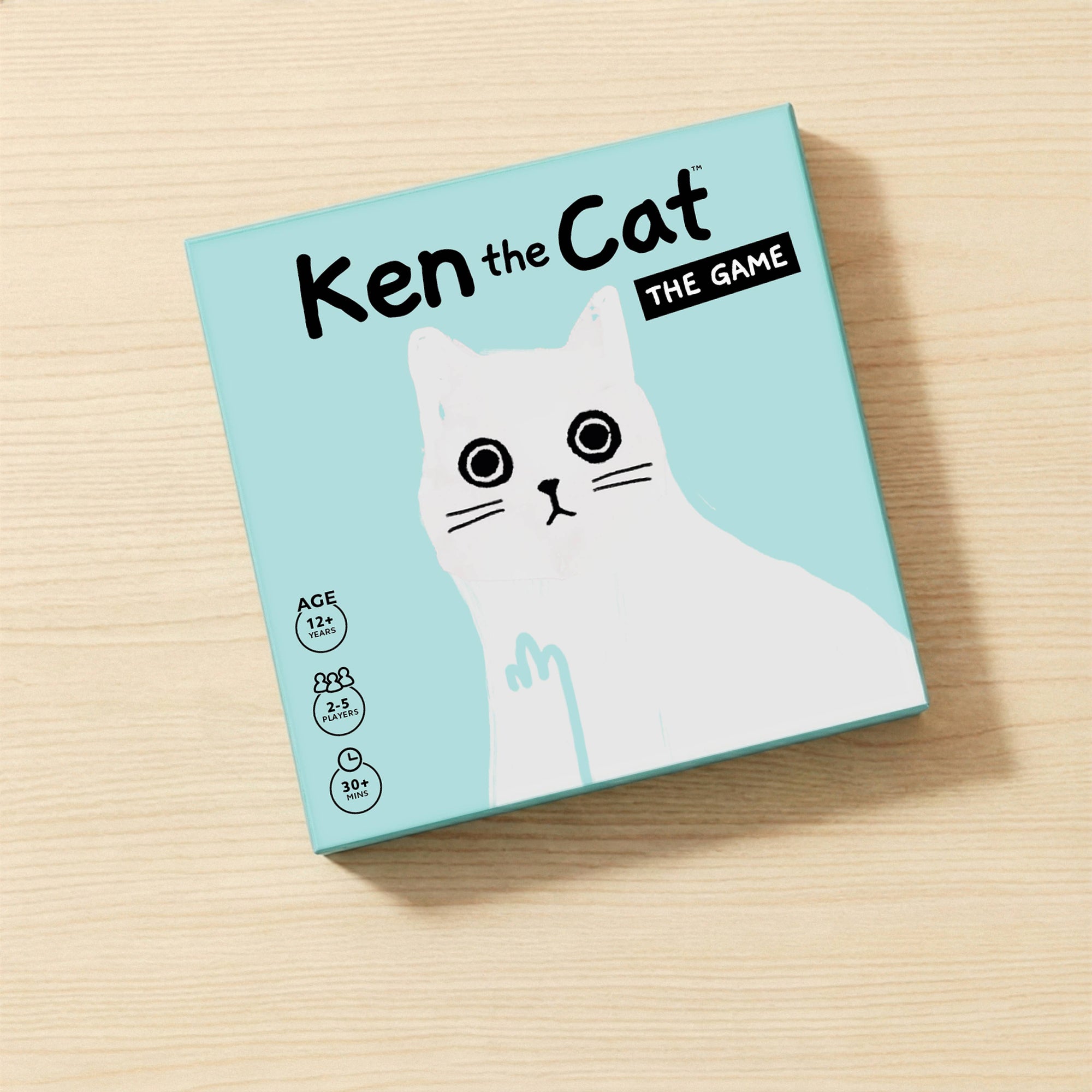 Ken The Cat Game Fun Family Cat Party Game
