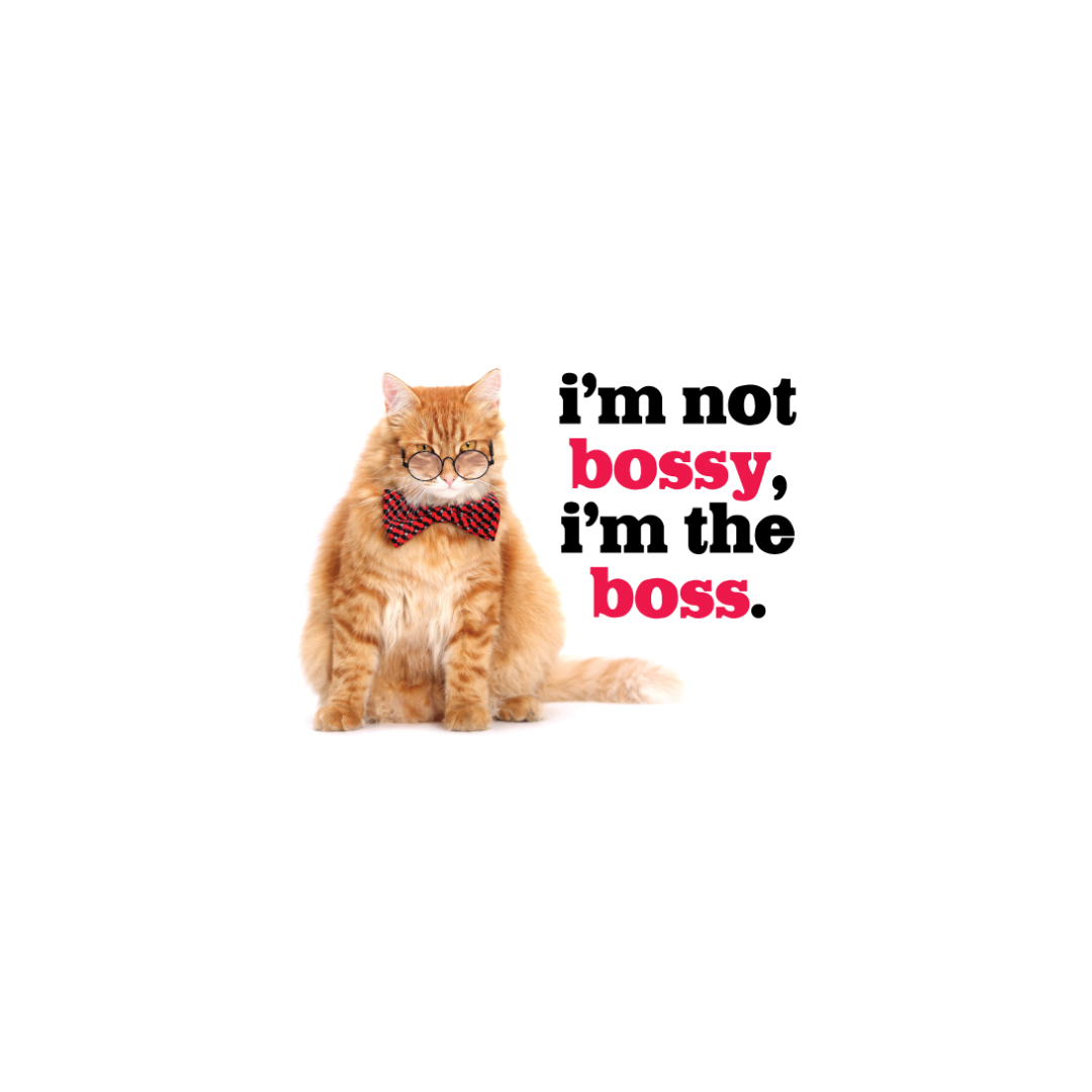I'm not bossy, I'm the boss cat Fridge Magnet