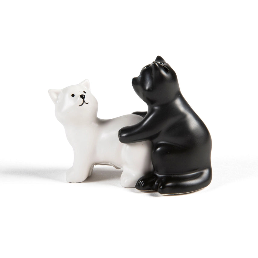PRE SALE Pepper Has No Chill Salt & Pepper Set