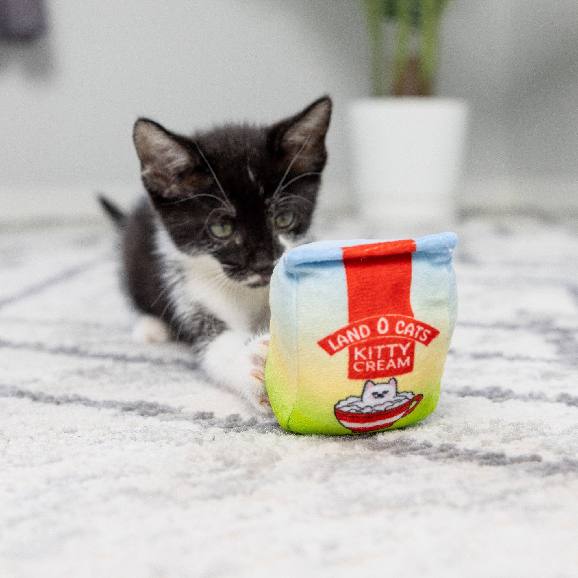 Kittybelles Land O Cats For Cats