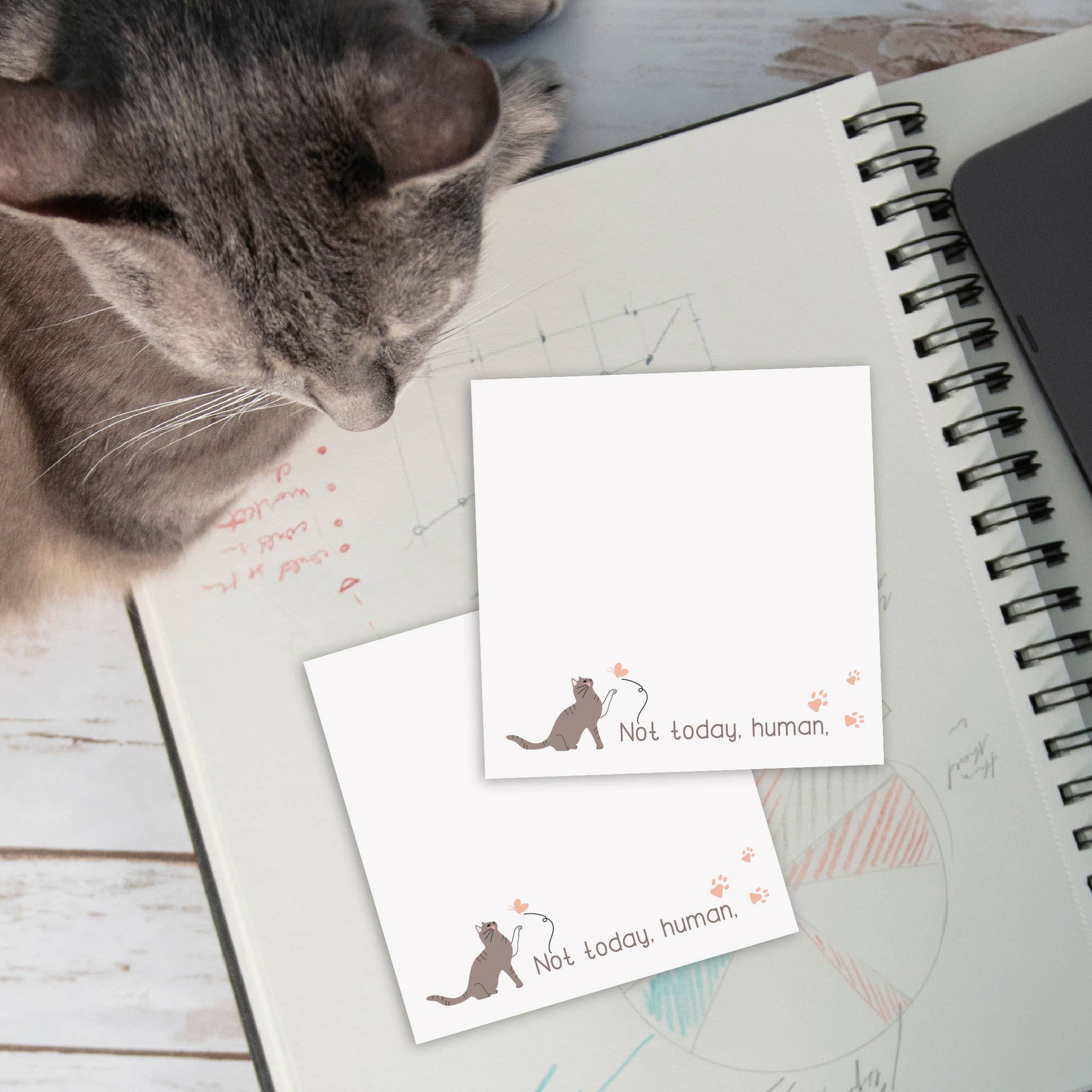 Cat Attitude Post-it® Note 3x3