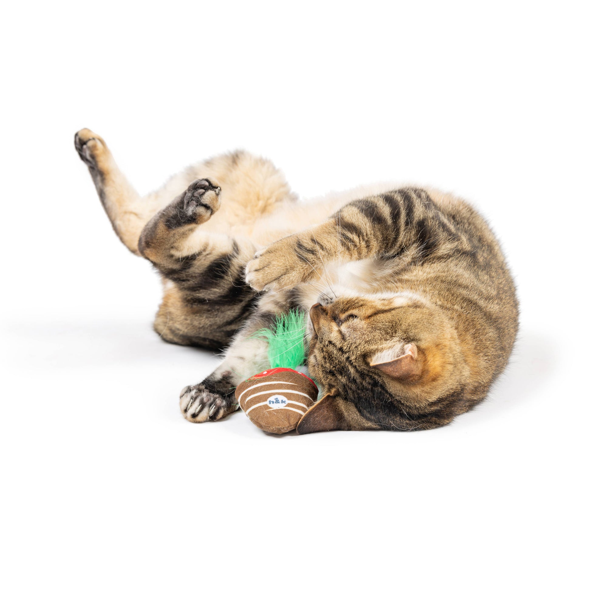 Kittybelles Chocolate Strawberry