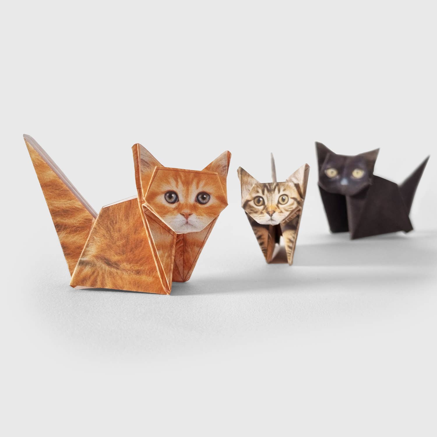 Paper Cats | Cute DIY Origami Kit