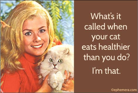 What's it called when your Cat Eats Healthier Magnet