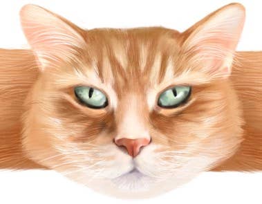 Hug-a-BooBoo "Hugging Paws" Premium Bandages