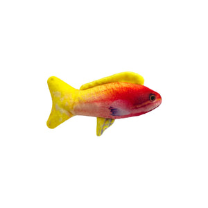 Kittybelles Rainbow Guppy for Cats