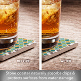 Had Me At Meow Absorbent Stone Coaster