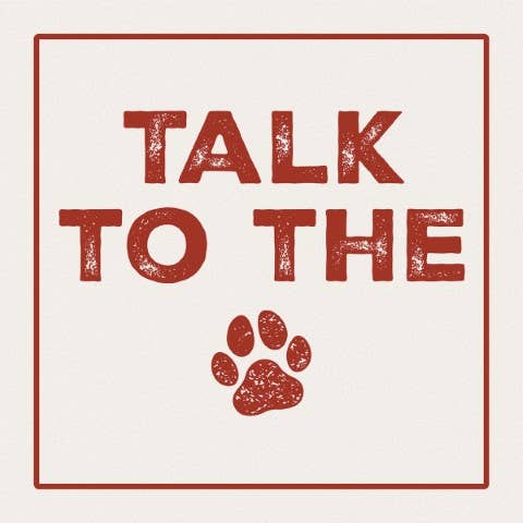 Talk to the Paw Square House Coaster
