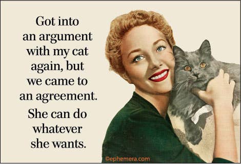 Got into an argument with my cat again Magnet