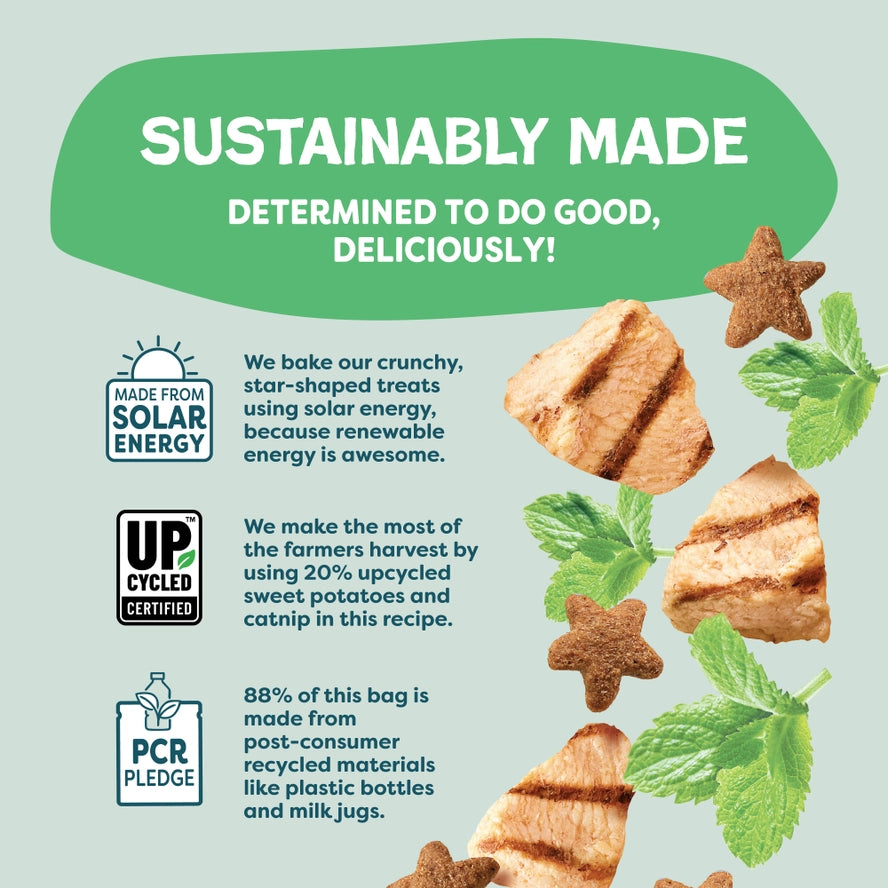 Catnip N Chill Crunchy Cat Treats- Digestive Support