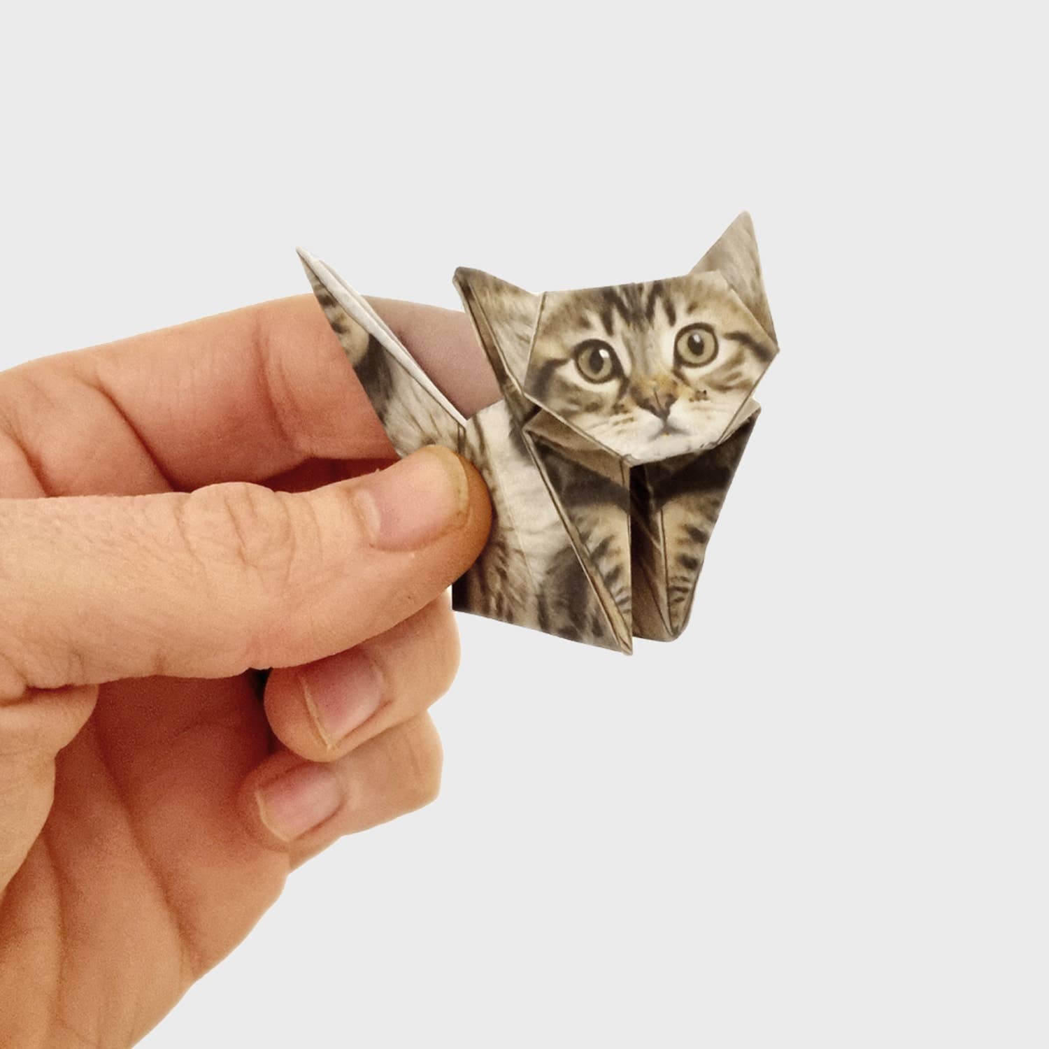 Paper Cats | Cute DIY Origami Kit
