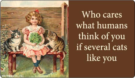 Who cares what humans think of you if several cats! Sticker