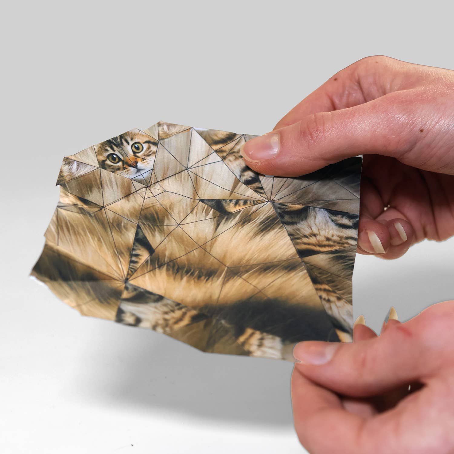 Paper Cats | Cute DIY Origami Kit
