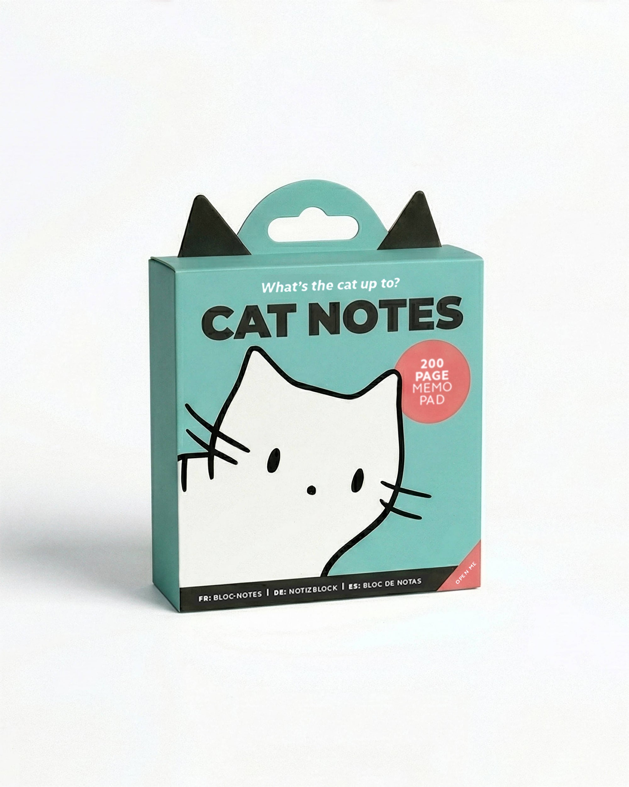 What's the Cat Up to Notes