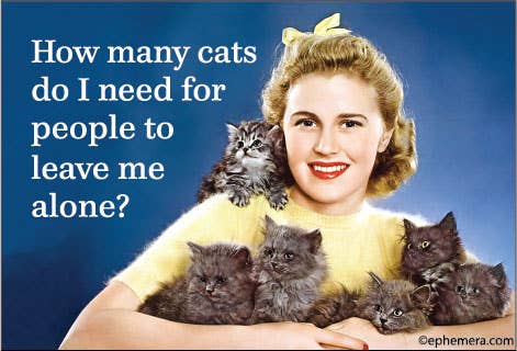 How many cats do I need Magnet