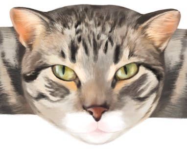 Hug-a-BooBoo "Hugging Paws" Premium Bandages