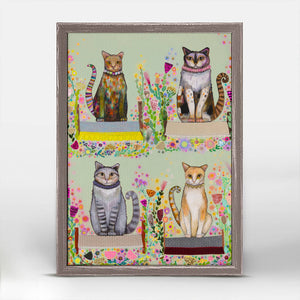 Feral Cat Beds Mini Framed Canvas