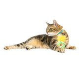 Kittybelles Lit Donut Cat Toy