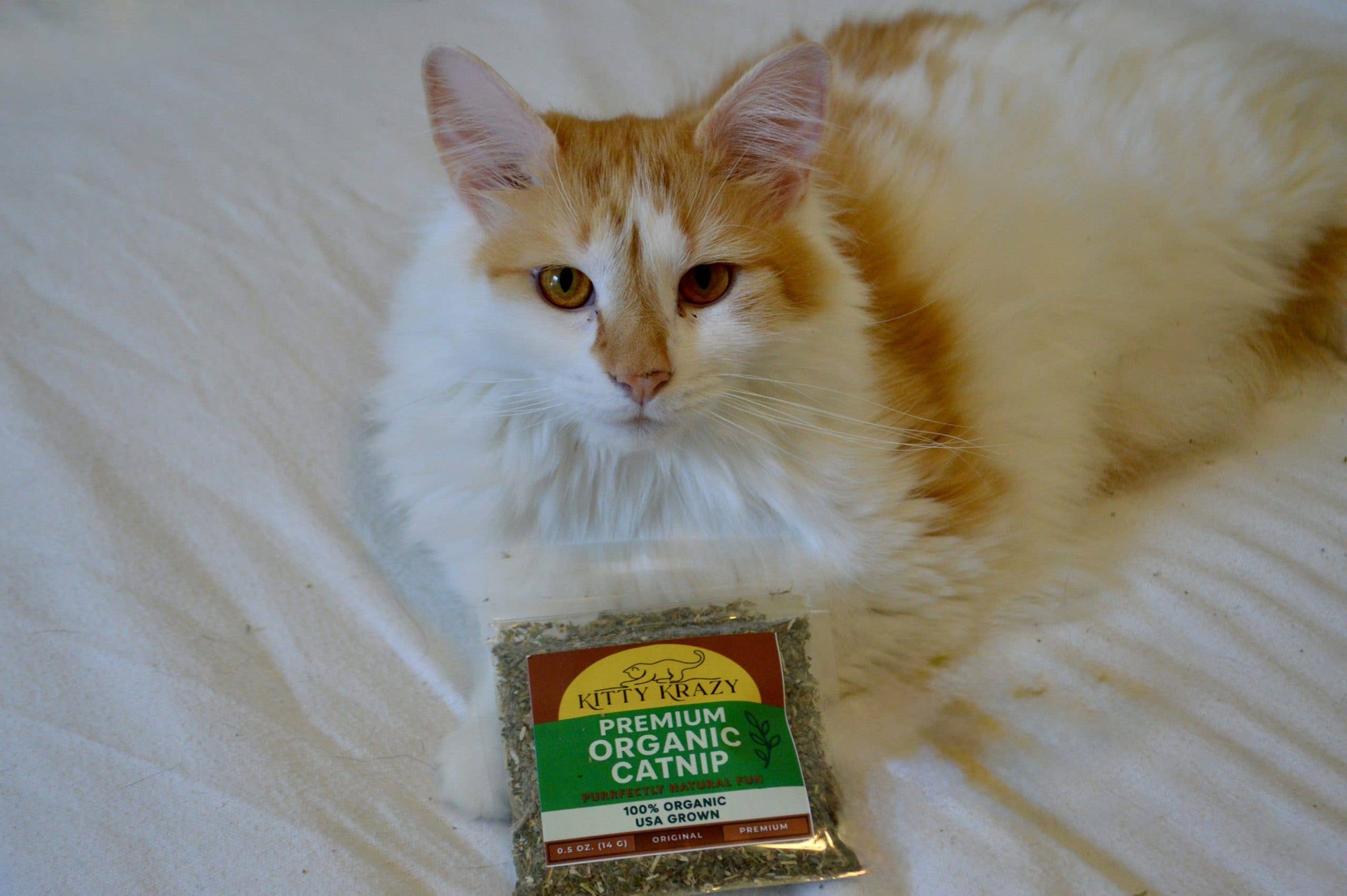 Kitty Krazy Original Catnip