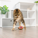 Kittybelles Football For Cats