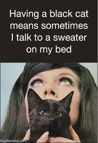 Having a black cat means Magnet