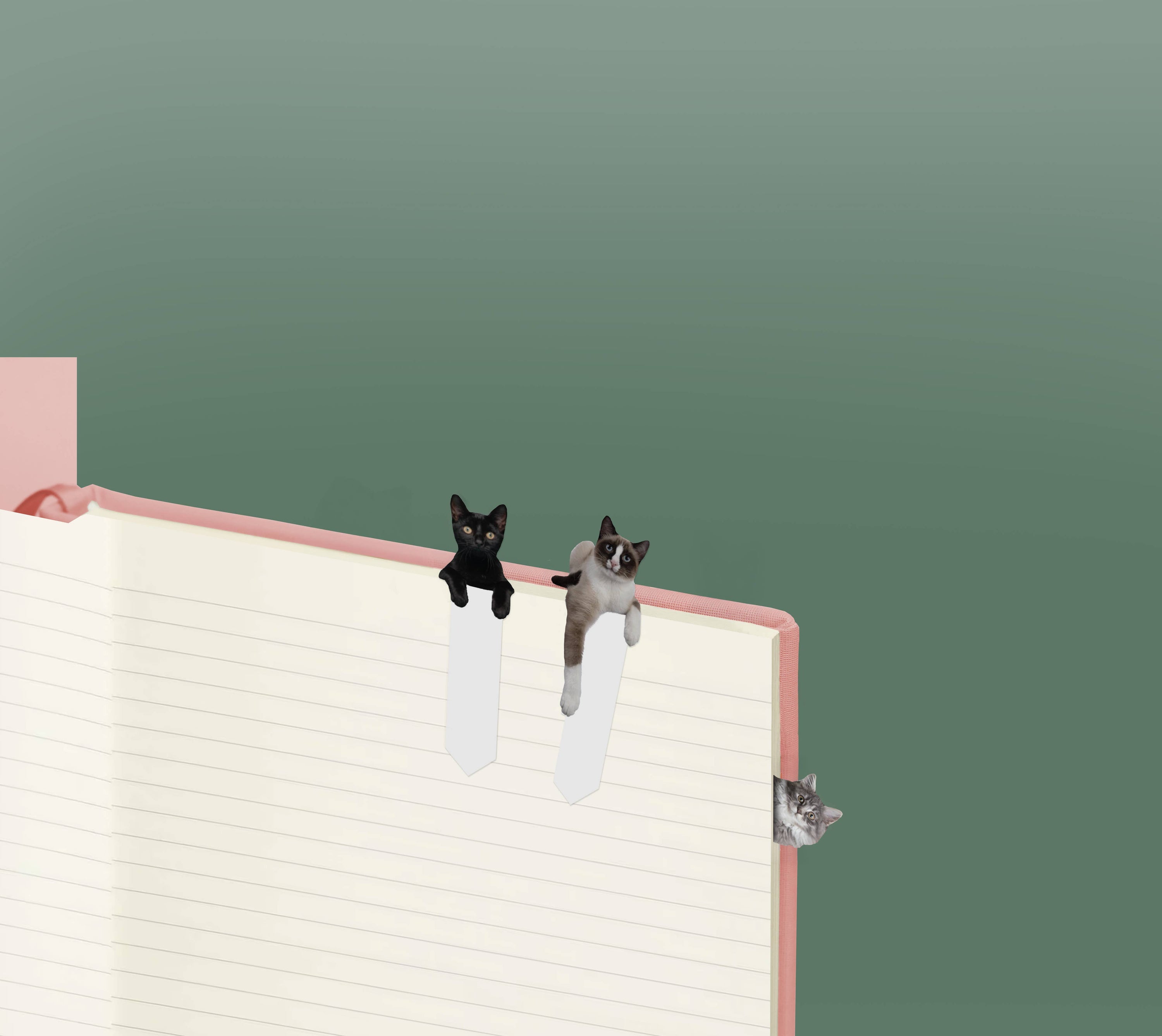 Cat Page Markers