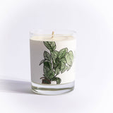 Just Bee Candle 7 oz Summer Mint