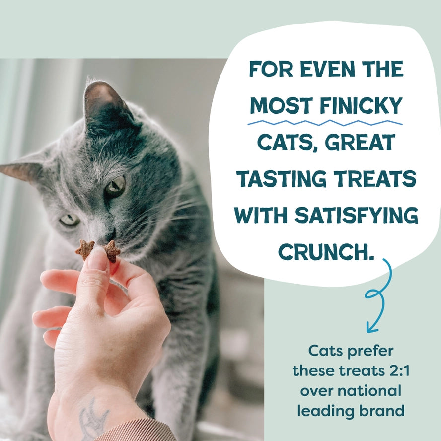 Fintastic Catnip Crunchy Cat Treats