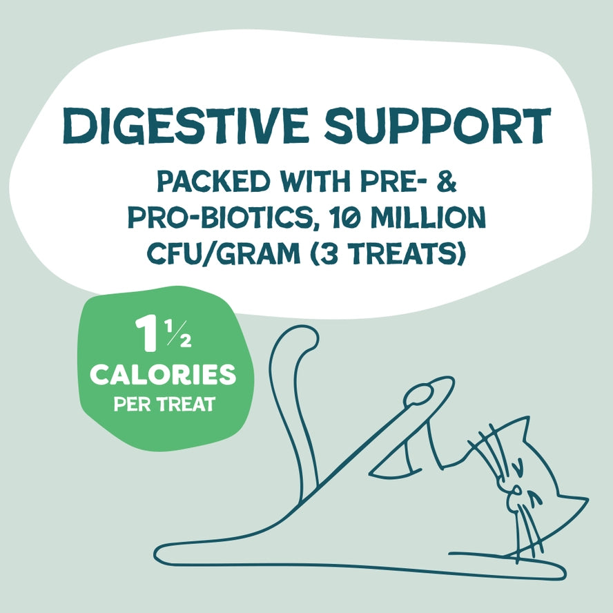 Catnip N Chill Crunchy Cat Treats- Digestive Support