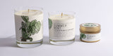 Just Bee Candle 7 oz Summer Mint
