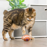 Kittybelles Football For Cats