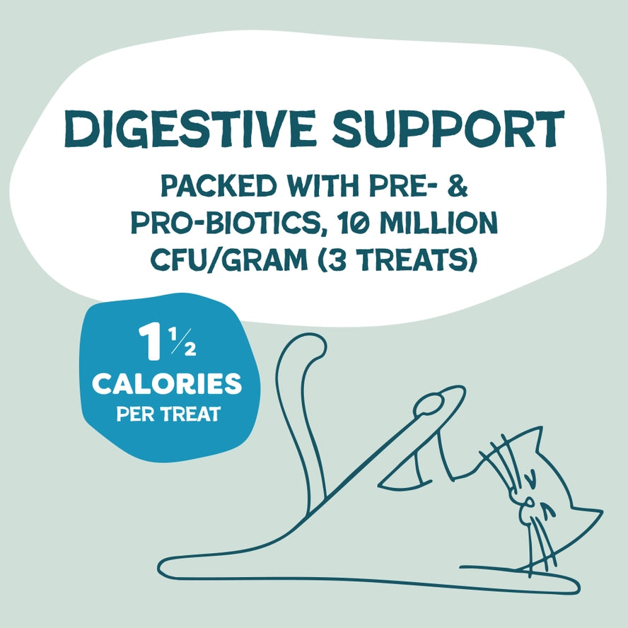 Fintastic Catnip Crunchy Cat Treats