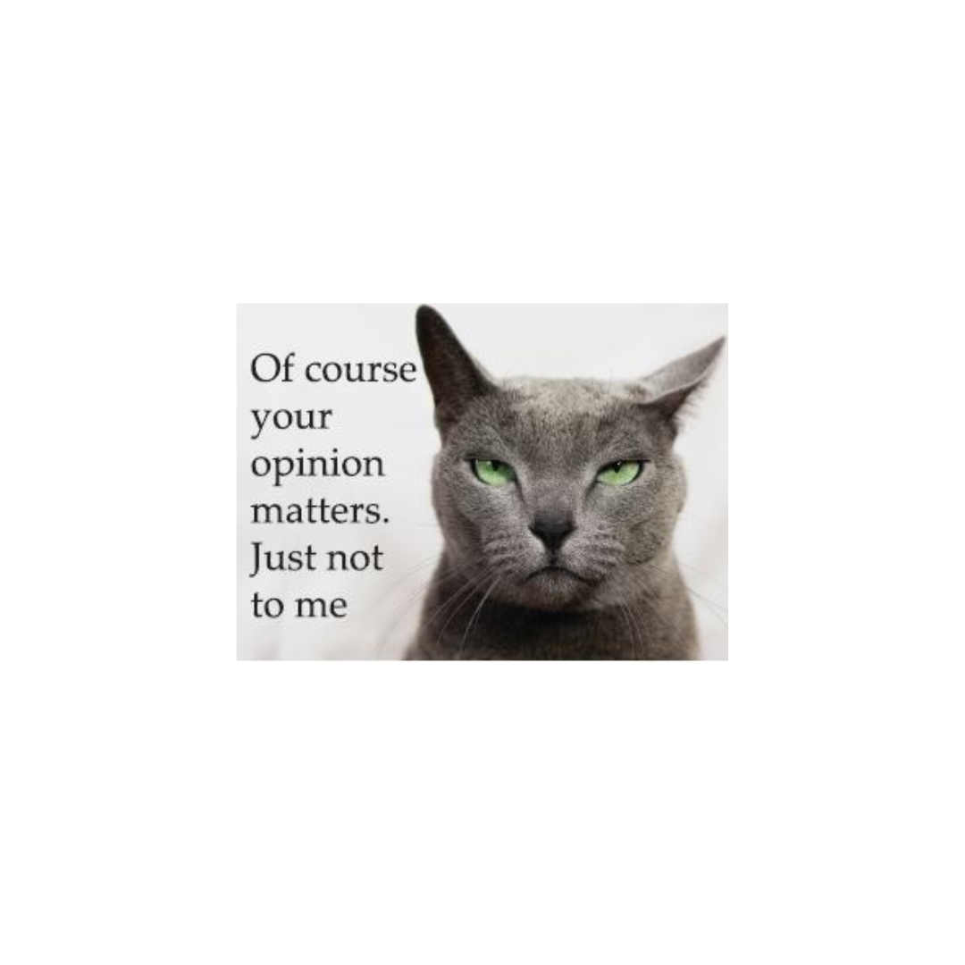 Of Course Your Opinion Matters Magnet
